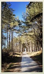 TIDE4 Amrum No. 3 - Tiny Loft für Zwei - Inselfeeling inklusive! - Top-Hundeurlaub