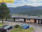 Berge - Apartment Alpenpanorama by FiS - Fun in Styria - Top-Hundeurlaub