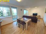Wohnzimmer - Apartment Alpenoase by FiS - Fun in Styria - Top-Hundeurlaub