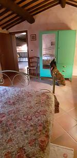 IARB45 abseits gelegenes Ferienhaus mit Swimmingpool mit komplett eingez. Garten in der Toskana - Top-Hundeurlaub