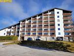 Fassade / Eingang - Apartment Sonnenfreude by FiS - Fun in Styria - Top-Hundeurlaub