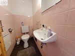 Gäste-WC - Apartment Sonnenfreude by FiS - Fun in Styria - Top-Hundeurlaub