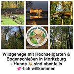 Pension Waldhof zu Grillenburg mit Seen fussläufig  - Top-Hundeurlaub