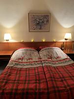 Pension Waldhof zu Grillenburg mit Seen fussläufig  - Top-Hundeurlaub