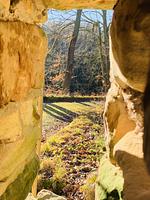 Pension Waldhof zu Grillenburg mit Seen fussläufig  - Top-Hundeurlaub