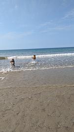 F116j_2 Ferienhaus Argoyl mit eingezäunten Garten und strandnah - Top-Hundeurlaub