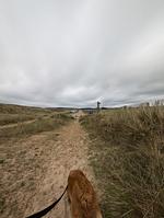 F116w Ferienhaus Sandrine in der Normandie mit eingezäunten Garten und fußläufig zum Strand  - Top-Hundeurlaub