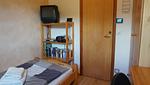 Ferienhaus Otto - Top-Hundeurlaub