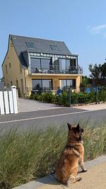 F115i Ferienwohnung Meerblick direkt am Atlantik in der Normandie - Top-Hundeurlaub