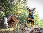 FeWo Hundeparadies Lienlasmühle - Top-Hundeurlaub