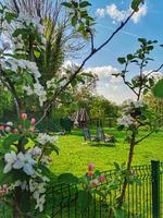 Ferienwohnung Lienlasmühle - Top-Hundeurlaub