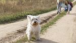 Van der Valk Resort Linstow - Top-Hundeurlaub