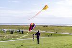 Strand - Graftkieker (49.1.S) - Top-Hundeurlaub