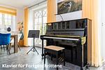 Wattkieker - Top-Hundeurlaub