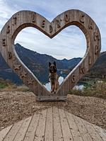 I11f außergewöhnlichen Domizil: Villa Federica - direkt am Strand des Ledrosees mit eigenem eingzäunten Garten - Top-Hundeurlaub