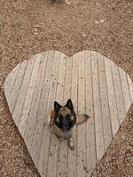 I11f außergewöhnlichen Domizil: Villa Federica - direkt am Strand des Ledrosees mit eigenem eingzäunten Garten - Top-Hundeurlaub