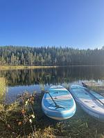 Schwedisches Bauernhaus mit Sauna - Top-Hundeurlaub