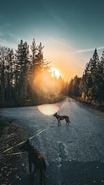 Schwedisches Bauernhaus mit Sauna - Top-Hundeurlaub