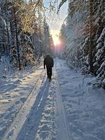 Schwedisches Bauernhaus mit Sauna - Top-Hundeurlaub