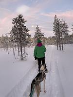 Schwedisches Bauernhaus mit Sauna - Top-Hundeurlaub