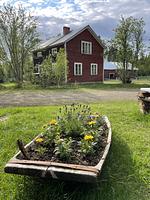 Schwedisches Bauernhaus mit Sauna - Top-Hundeurlaub