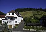 Pension Steinbergsblick - Top-Hundeurlaub