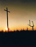 Pension Steinbergsblick - Top-Hundeurlaub