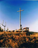 Pension Steinbergsblick - Top-Hundeurlaub