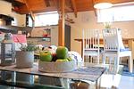 Ferienhaus Haase - Top-Hundeurlaub
