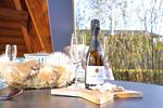 Ferienhaus Haase - Top-Hundeurlaub