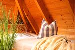 Ferienhaus Haase - Top-Hundeurlaub