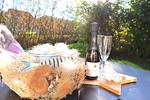 Ferienhaus Haase - Top-Hundeurlaub