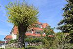 Hauptansicht - Hafenhäuser Breege - Ferienwohnung 18 "Ankerplatz" - Top-Hundeurlaub