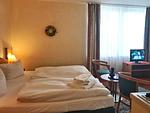 Wohnzimmer/ Schlafbereich - Hafen-Residenz -  Ferienwohnung "Dahlien" - Top-Hundeurlaub