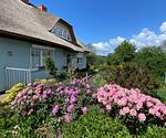 Reethaus Vilmnitz - Fewo "Goor" - Top-Hundeurlaub