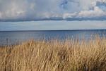 Strand - Kurparkcarree - Appartement 27 "Amber" - Top-Hundeurlaub