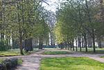 Kurpark Juliusruh - Kurparkcarree - Appartement 27 "Amber" - Top-Hundeurlaub