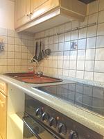 Küche / Küchenzeile - Ferienhaus "Min Hütt" - Top-Hundeurlaub