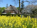 Hauptansicht - Im Feriengarten -Ferienwohnung im DG - Top-Hundeurlaub