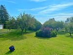 Garten - Ferienwohnungen am Hochzeitsberg 3A - Fewo 1 - Top-Hundeurlaub