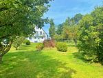 Garten - Ferienwohnungen am Hochzeitsberg 3A - Fewo 1 - Top-Hundeurlaub
