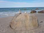 Strand - Breege - Inselsonne  Haus Inge  Fewo Inge - Top-Hundeurlaub