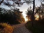 Strand - Breege - Inselsonne  Haus Inge  Fewo Inge - Top-Hundeurlaub