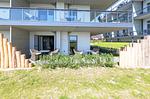 Ferienwohnung Großer Strandkorb Ostseebad Wustrow ZweiWasser Alte Seefahrtschule Aussenbereich - Großer Strandkorb - Top-Hundeurlaub