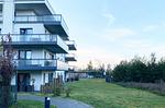 Ferienwohnung Großer Strandkorb Ostseebad Wustrow ZweiWasser Alte Seefahrtschule Hauptansicht - Großer Strandkorb - Top-Hundeurlaub