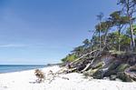 Ferienwohnung Strandblick Ostseebad Wustrow ZweiWasser Alte Seefahrtschule Sonnentage am Meer - Strandblick - Top-Hundeurlaub