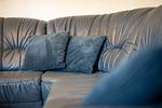 Dekoratives Detail - Zander - Top-Hundeurlaub