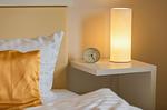 Ferienwohnung Schwan Nachtisch mit Lampe - Schwan - Top-Hundeurlaub