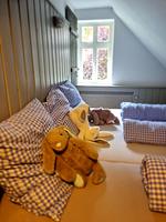 Alte Schule Jarnsen Oberstübchen - Top-Hundeurlaub