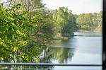 Meerblick - Goldhornisse - Top-Hundeurlaub